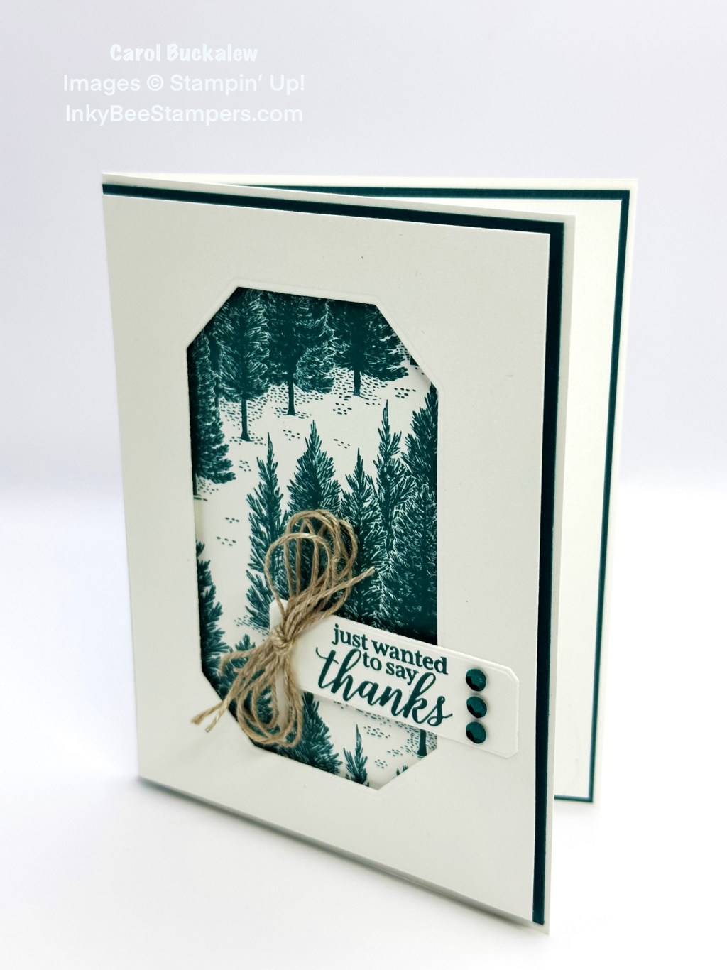 Stampin’ Up! Frangrant Forest Thank You Card